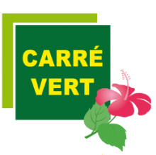 Création et entretien de parcs et jardins hyeres les palmiers dans le var Carre vert service